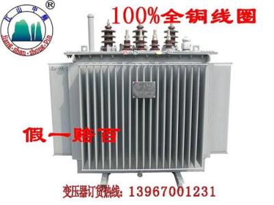 全新全銅江山變壓器-
