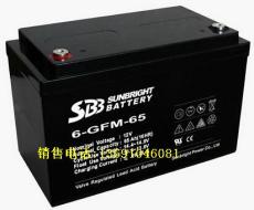 圣豹蓄电池6-GFM-65 12V蓄电池价格