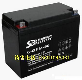 圣豹蓄电池6-GFM-50 12V蓄电池价格