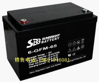 圣豹蓄电池6-GFM-100 12V蓄电池价格