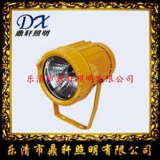 TGF759防爆泛光燈 TGF759-150W防爆燈