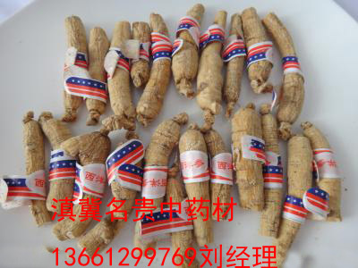 西洋參北京批發(fā)滇冀名貴中藥材公司