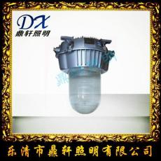 TG720E應(yīng)急燈 TG720E-70W防眩泛光燈