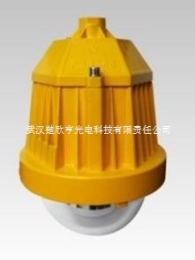 眾朗星ZL8924