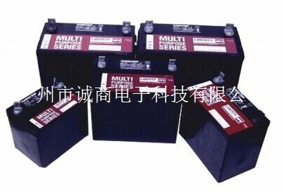大力神蓄电池 广州专卖大力神电池 电池报