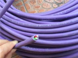 西门子DP电缆紫色双芯屏蔽6XV1830-0EH10