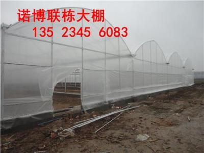 郑州蔬菜大棚温室加工制作价格低的厂家