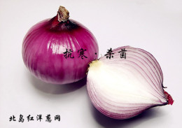 丰马科技直供优质洋葱种子批发北岛旗紫洋葱