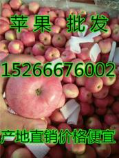 山东苹果市场红富士苹果批发价格