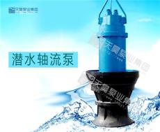 雨水泵站专用轴流泵