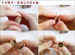 出售辽榛七号榛子苗辽宁大果榛子树苗