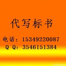 西安代寫標(biāo)書 代寫招投標(biāo)文件 標(biāo)書制作