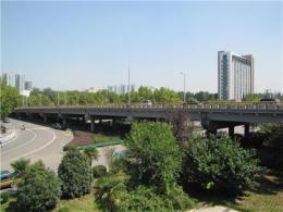 立體綠化助力海綿城市建設節能環保又美觀