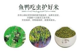 翡翠绿稻米 香汤丸绿米 翡翠绿米 汉稻米