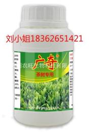 广奇茶树专用叶面肥-叶片绿厚抗病优质高产