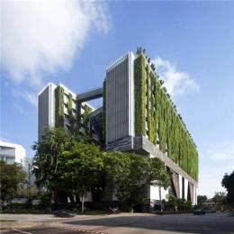 垂直綠化植物墻生態綠化助力海綿城市建設