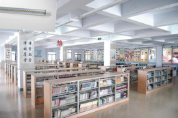 深圳LED灯管厂家 图书馆改造LED日光灯管