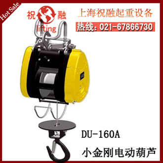DU160A小金剛電動(dòng)葫蘆 臺(tái)灣葫蘆 上?？偞? ></a>
                           
                                <a target=