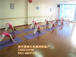 昆明幼兒舞蹈壓腿桿價(jià)格 幼兒壓腿桿批發(fā)廠