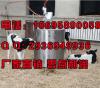 郑州犊牛喂奶器