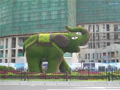 长沙广场立体绿化 湖南广场立体绿化工程