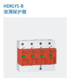 HDKLY1-B/2P浪涌保护器-保利海德中外合资