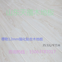 天禧穆勒12mm強化復合實木木地板工程木地板