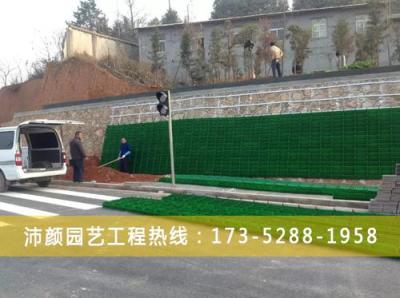 长沙垂直立体绿化植物墙