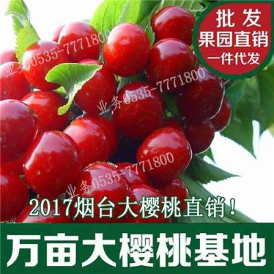 珠海車(chē)?yán)遄佣嗌馘X(qián)一斤