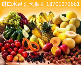 上海进口水果报关代理服务
