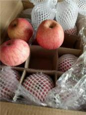 陕西冷库纸袋红富士苹果价格 冷库膜袋苹果