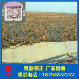 0.5厚莲藕防渗膜 藕池防渗土工膜 全国直销