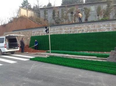 长沙立体植物墙造型绿化工程 城市植物墙