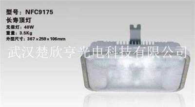 GA131低頻無極燈遠(yuǎn)光GA131-40W低頻無極燈
