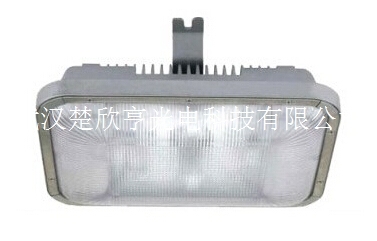 GF9040紫光長壽頂燈GF9040-WJ40W長壽頂燈