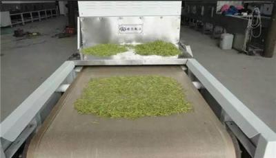 微波茶叶烘干设备快速烘干+节能减排