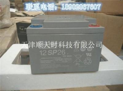 12V55AH后备电源蓄电池非凡蓄电池12SP55