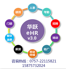 珠海HR系统 佛山HR管理软件 中山HR系统