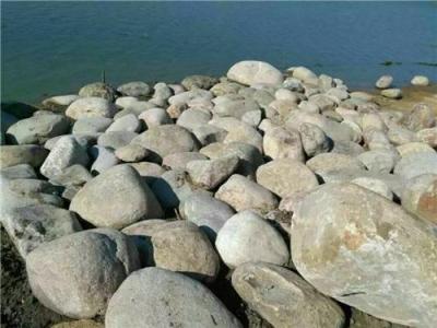 安庆市河滩石鹅卵石草坪石质优价廉