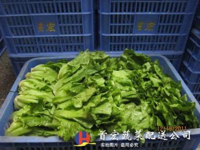 厚街蔬菜配送报价 2017-04-10
