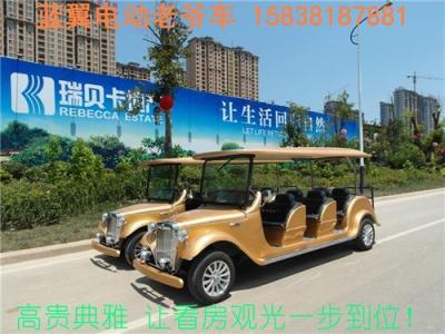 駐馬店電動老爺車廠家直銷