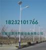 河北邢台新农村道路改造太阳能路灯