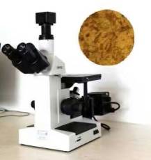 专业金相显微镜上门安装培训山东金相显微镜