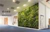 .修文墙面墙体绿化为生态墙的整体效果及