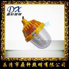 SW8300防爆平台灯 金卤灯/高压钠灯70W 100W 150W