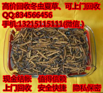 東莞虎門哪有回收蟲草 虎門哪可以回收蟲草