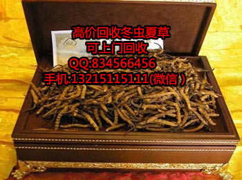 東莞虎門哪有回收蟲草 虎門哪可以回收蟲草