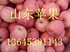 山東紅富士蘋果產(chǎn)地最新價格行情