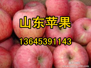 山東紅富士蘋果產(chǎn)地最新價格行情