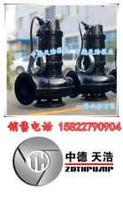 天津泵业潜水排污泵厂